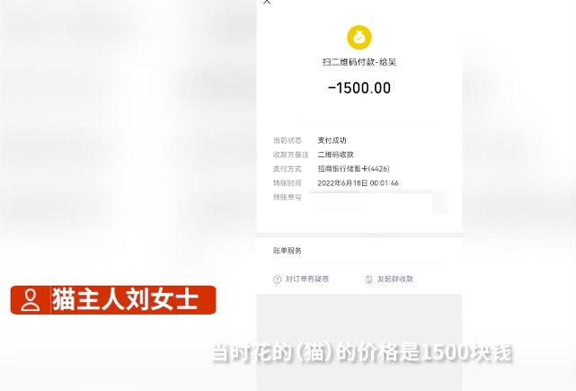 E句话看天下休闲区蓝鸢梦想 - Www.slyday.coM