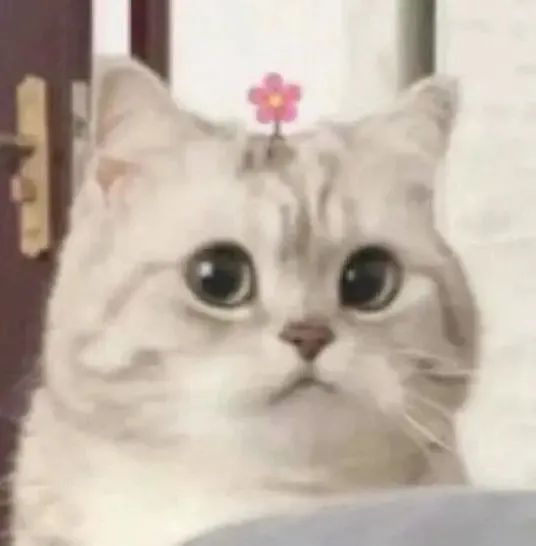 E句话看天下休闲区蓝鸢梦想 - Www.slyday.coM