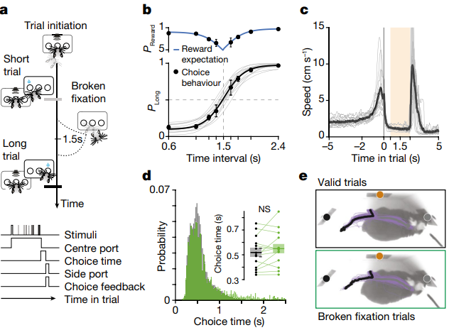 玩123木头人总是被抓！《自然》可能找到你赢不了的原因……休闲区蓝鸢梦想 - Www.slyday.coM