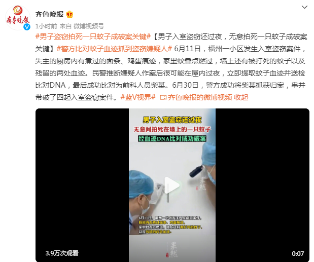 男子入室盗窃还过夜，无意拍死一只蚊子成破案关键休闲区蓝鸢梦想 - Www.slyday.coM