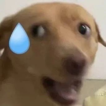 E句话看天下休闲区蓝鸢梦想 - Www.slyday.coM