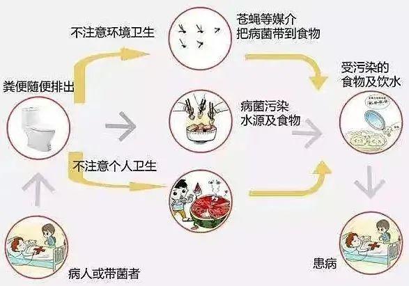 尚无特效药!武汉大学出现一例霍乱病例,危害大吗?怎么预防?休闲区蓝鸢梦想 - Www.slyday.coM 尚无特效药!武汉大学出现一例霍乱病例,危害大吗?怎么预防?休闲区蓝鸢梦想 - Www.slyday.coM