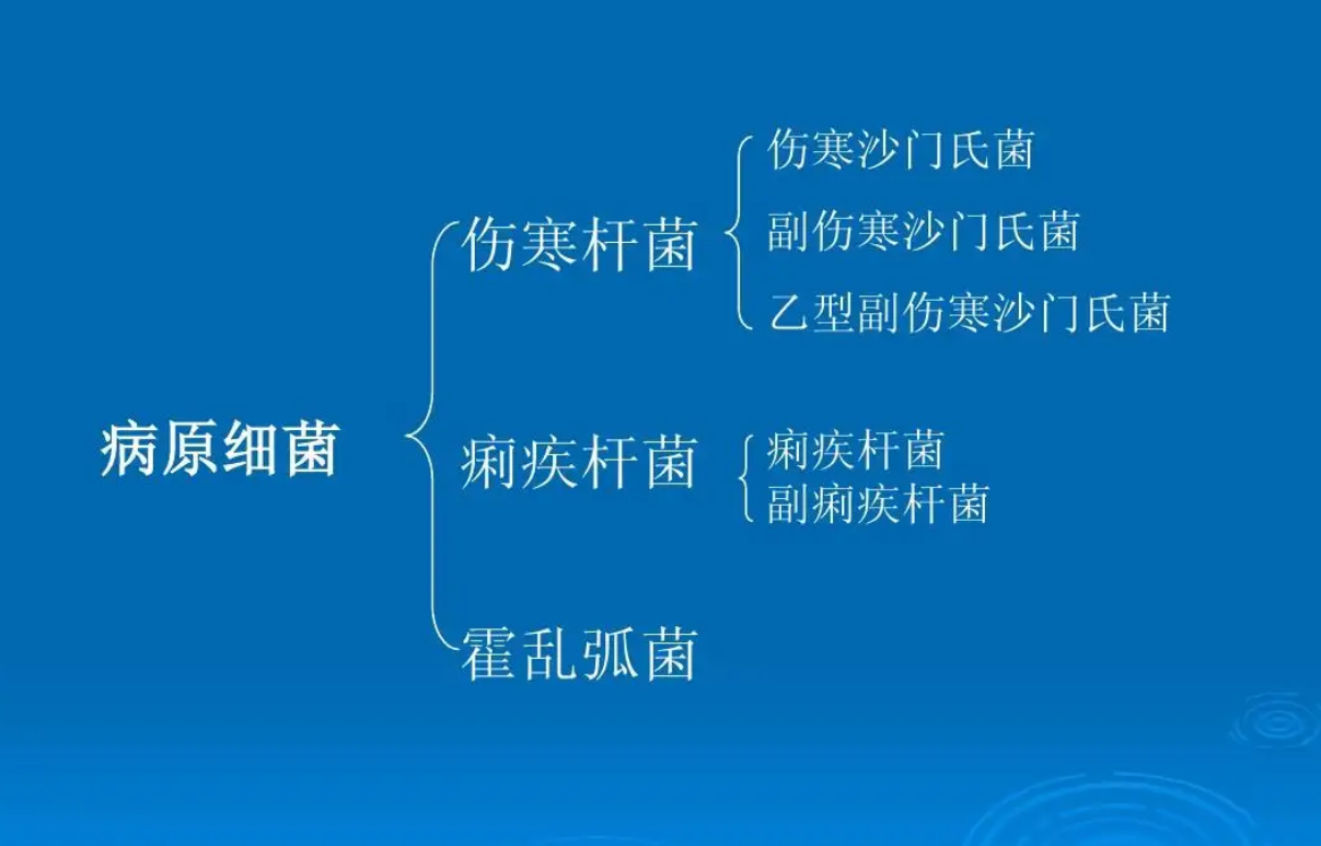 尚无特效药!武汉大学出现一例霍乱病例,危害大吗?怎么预防?休闲区蓝鸢梦想 - Www.slyday.coM 尚无特效药!武汉大学出现一例霍乱病例,危害大吗?怎么预防?休闲区蓝鸢梦想 - Www.slyday.coM