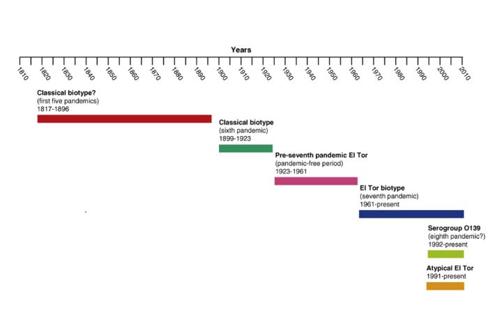 尚无特效药!武汉大学出现一例霍乱病例,危害大吗?怎么预防?休闲区蓝鸢梦想 - Www.slyday.coM 尚无特效药!武汉大学出现一例霍乱病例,危害大吗?怎么预防?休闲区蓝鸢梦想 - Www.slyday.coM