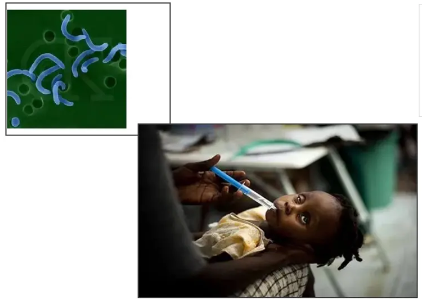 尚无特效药!武汉大学出现一例霍乱病例,危害大吗?怎么预防?休闲区蓝鸢梦想 - Www.slyday.coM 尚无特效药!武汉大学出现一例霍乱病例,危害大吗?怎么预防?休闲区蓝鸢梦想 - Www.slyday.coM