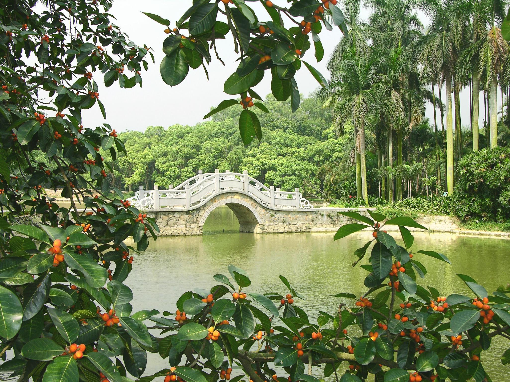 华南国家植物园美景.文香英/摄