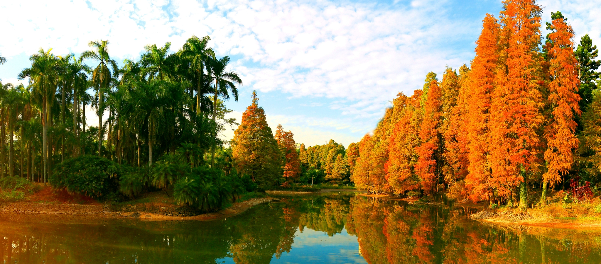 第二个国家植物园来了!我国国家植物园体系"一南一北"新格局形成|中国