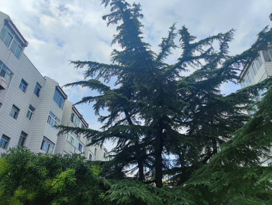 三十多岁女人要学什么技能 个人如何开艺术培训机构