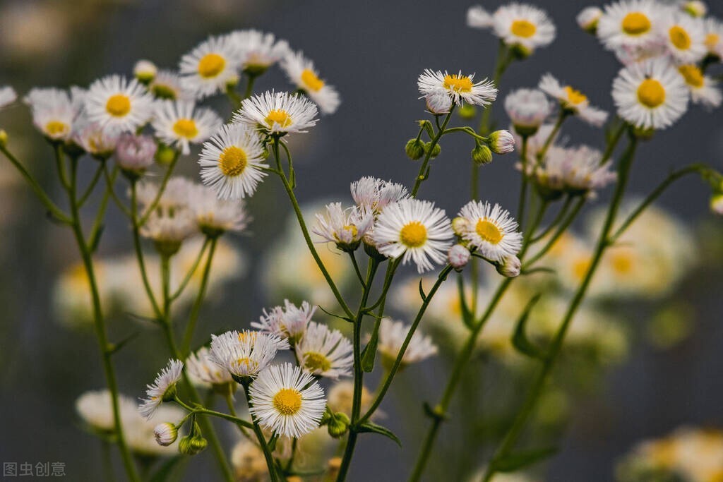 在感情中,一定要学会判断对方的真心,防止受伤休闲区蓝鸢梦想 - Www.slyday.coM 在感情中,一定要学会判断对方的真心,防止受伤休闲区蓝鸢梦想 - Www.slyday.coM