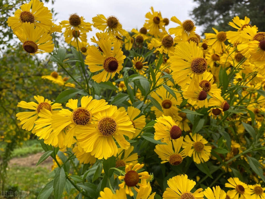 在感情中,一定要学会判断对方的真心,防止受伤休闲区蓝鸢梦想 - Www.slyday.coM 在感情中,一定要学会判断对方的真心,防止受伤休闲区蓝鸢梦想 - Www.slyday.coM