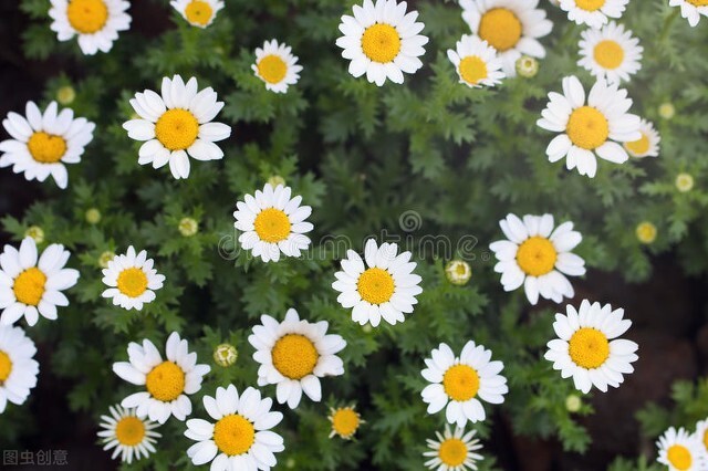 在感情中,一定要学会判断对方的真心,防止受伤休闲区蓝鸢梦想 - Www.slyday.coM 在感情中,一定要学会判断对方的真心,防止受伤休闲区蓝鸢梦想 - Www.slyday.coM