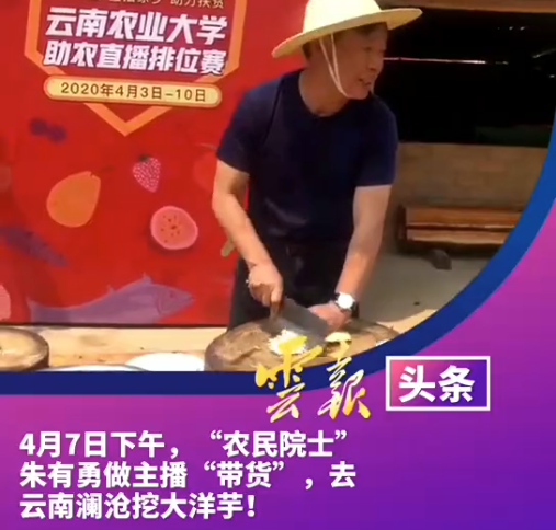 云南农大“招生减章”火出圈，背后男人曝光，网友笑疯：哈哈哈哈哈休闲区蓝鸢梦想 - Www.slyday.coM