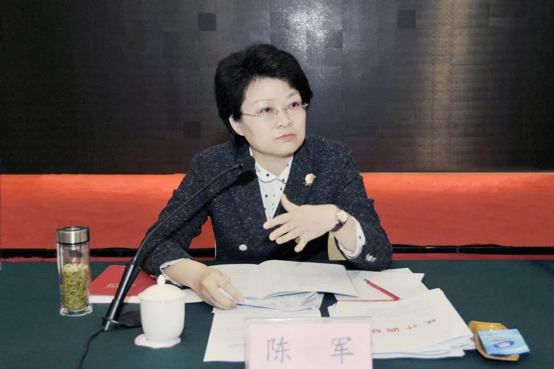 陈军(而已图 图片开头:安徽统计)