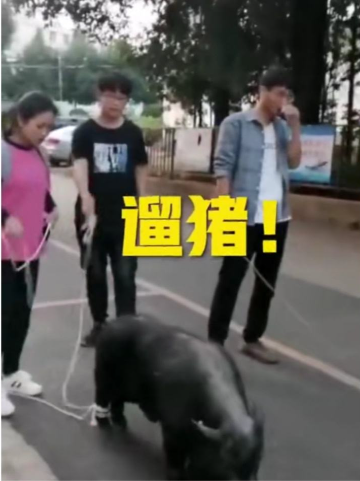 云南农大“招生减章”火出圈，背后男人曝光，网友笑疯：哈哈哈哈哈休闲区蓝鸢梦想 - Www.slyday.coM