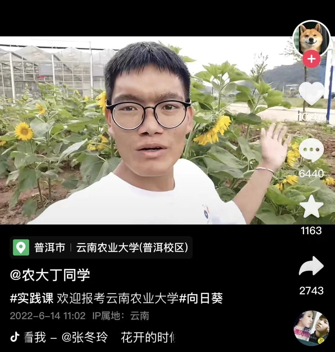 云南农大“招生减章”火出圈，背后男人曝光，网友笑疯：哈哈哈哈哈休闲区蓝鸢梦想 - Www.slyday.coM