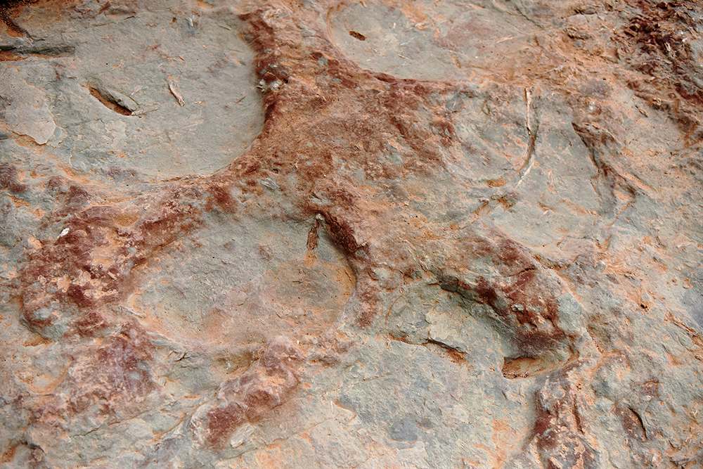 位于河北张家口宣化区崞村镇立石村的恐龙足迹化石点.