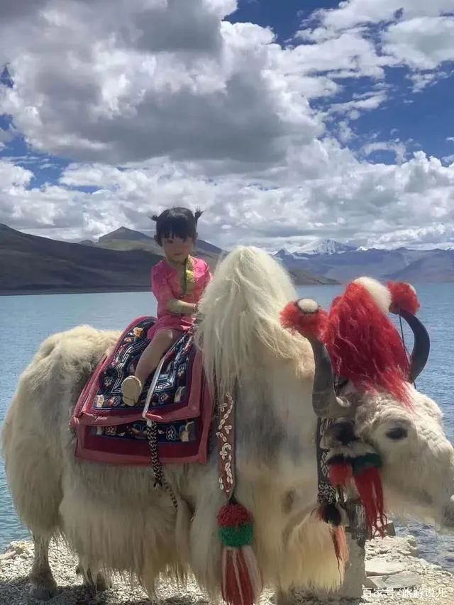90后单亲爸爸带4岁女儿骑行西藏，爆火2年后，现状让人意外休闲区蓝鸢梦想 - Www.slyday.coM