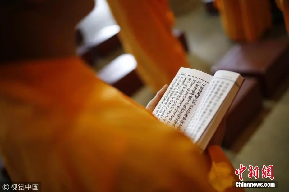 资料图:耿骏宇 摄 图源:视觉中国。图文无关
