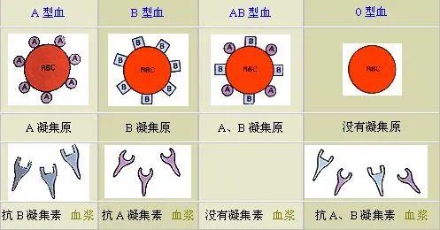 输血这事儿,别听电视剧的!