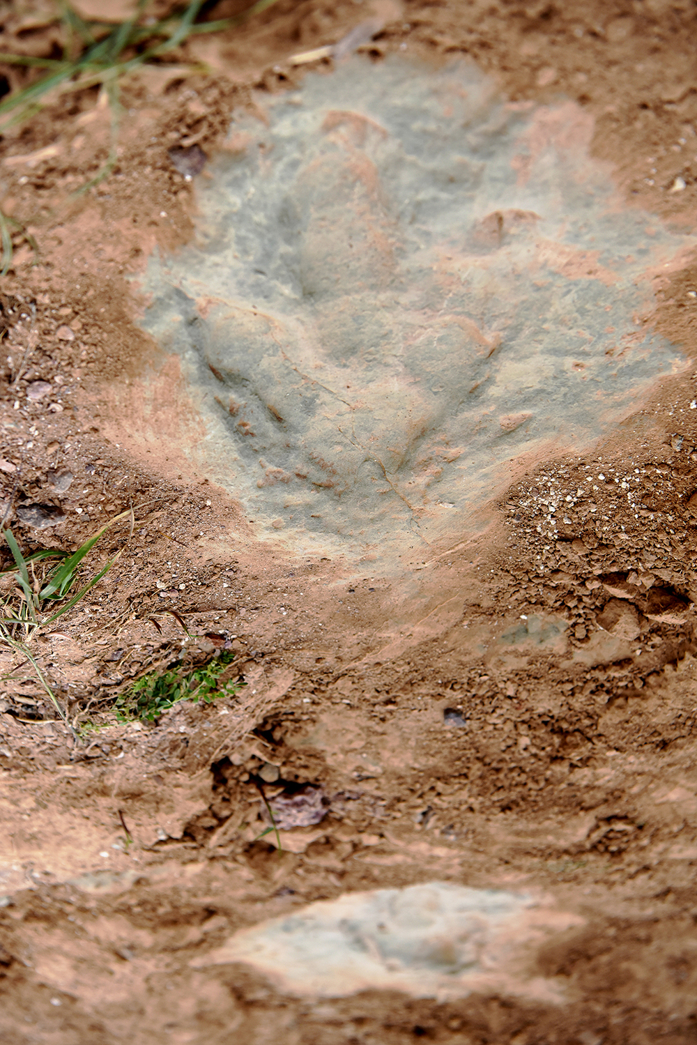 位于河北张家口宣化区崞村镇立石村的恐龙足迹化石点.
