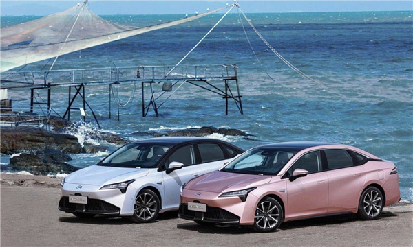 6月新能源销量排名：比亚迪和特斯拉的差距 原来这么大！休闲区蓝鸢梦想 - Www.slyday.coM