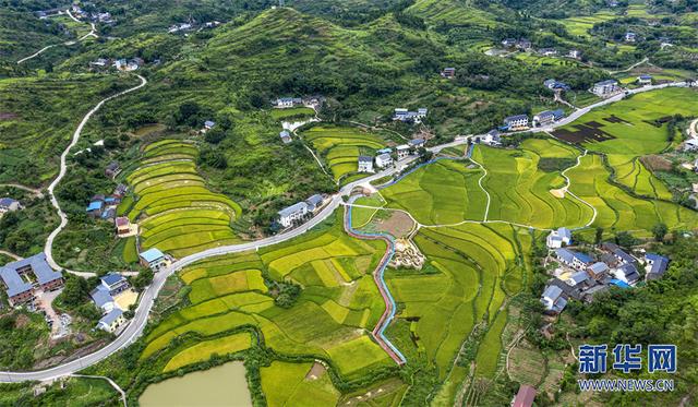 航拍视角下的柳荫镇一派田园好风光.资料图 新华网发