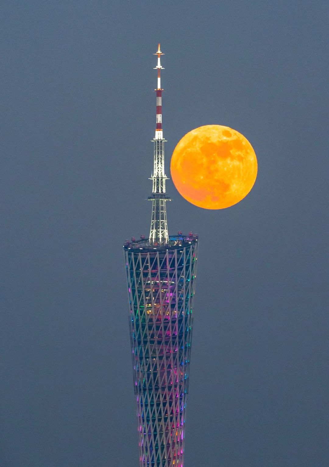 看着超级月亮慢慢爬上广州塔,月升广州塔,图/梁子健图/广州日报图
