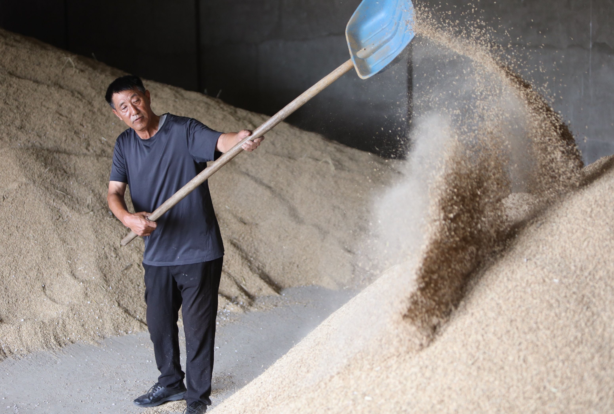 新华全媒+丨开垦荒滩，探索新技术，六旬老农坚持科学种田40年休闲区蓝鸢梦想 - Www.slyday.coM