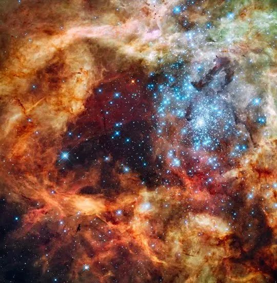 这个巨大的，年轻的恒星团，被称为R136，只有几百万岁，在大麦哲伦星云一个动荡的区域诞生。图片来源：NASA官网