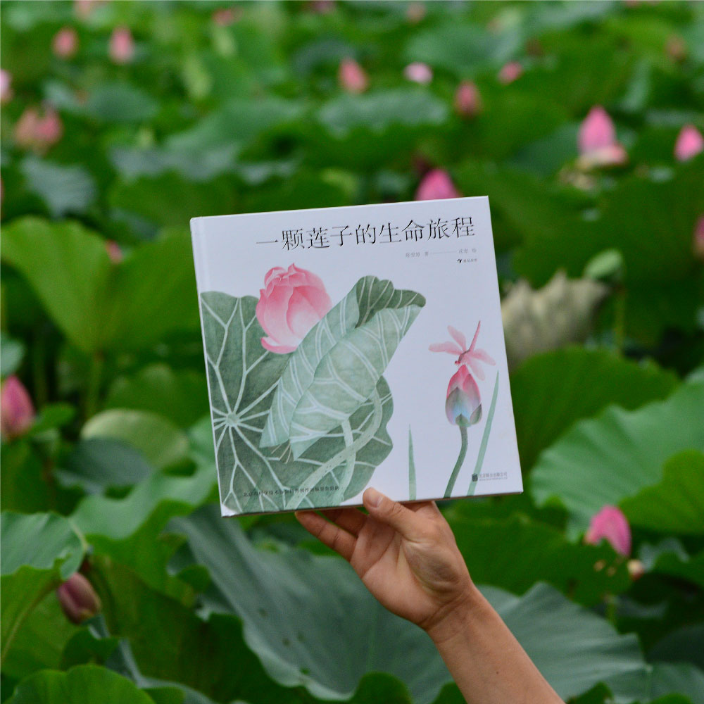 由此,我们不能想起一首诗,那就是"予独爱莲之出淤泥而不染,濯清涟而不