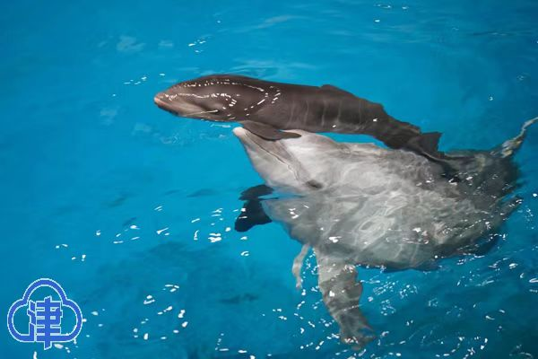 早新闻∣明确了！张家口继续提高！发现82例阳性！此地临时管控！警惕！已致多人死亡！休闲区蓝鸢梦想 - Www.slyday.coM