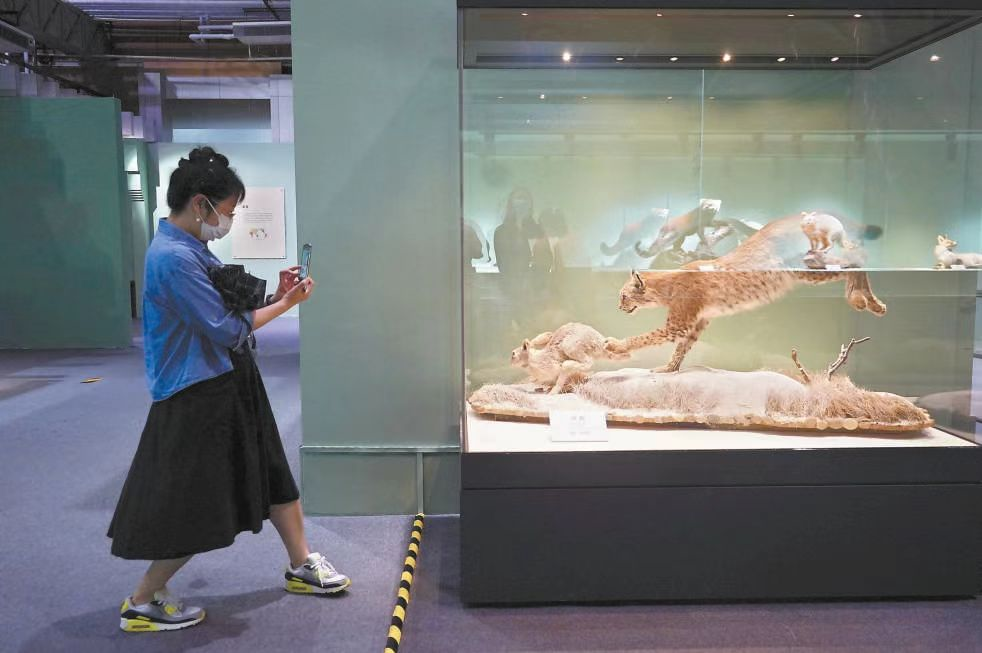 早新闻∣明确了！张家口继续提高！发现82例阳性！此地临时管控！警惕！已致多人死亡！休闲区蓝鸢梦想 - Www.slyday.coM