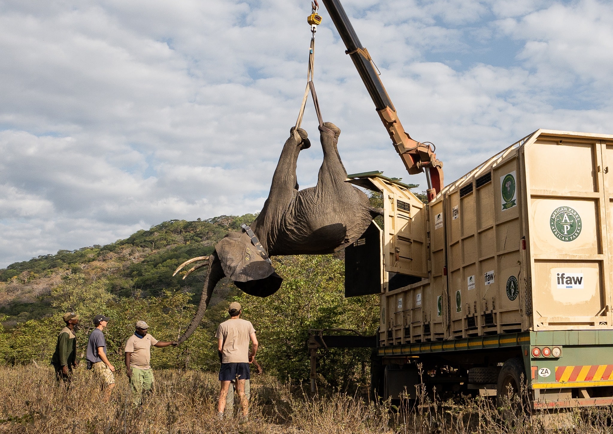 英亚体育首页欢迎-英亚体育手机app