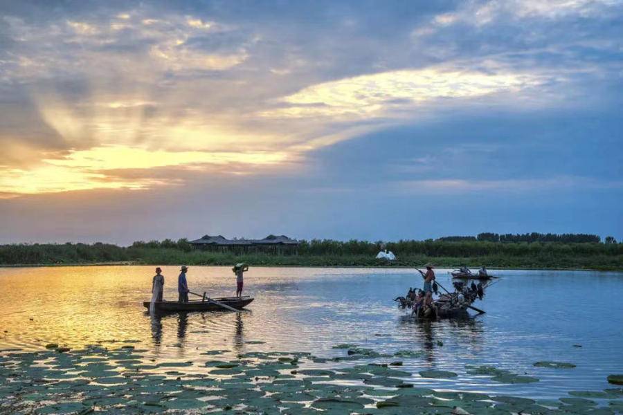 济宁市微山湖旅游区成山东第14家国家5a级旅游景区|微山湖|济宁市