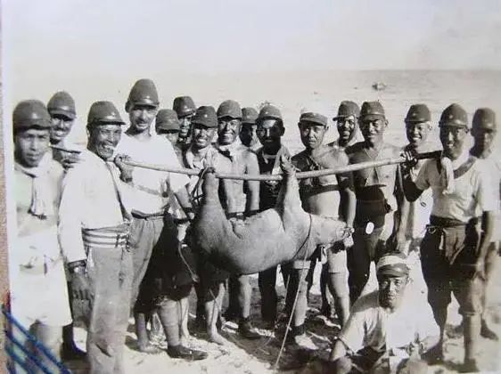 《亮剑》中团长结婚才舍得拿出来吃的日本牛肉罐头，为什么到了《顺溜》里狗都不吃？休闲区蓝鸢梦想 - Www.slyday.coM