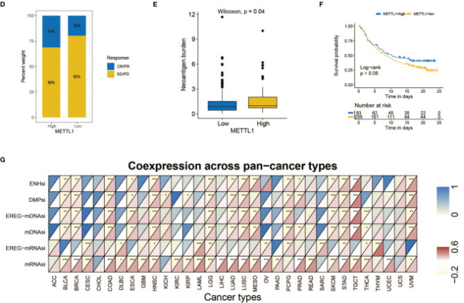 学技巧：单基因文章如何选基因|肿瘤|基因_新浪新闻