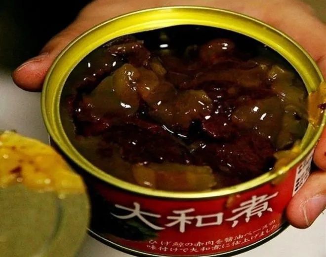 《亮剑》中团长结婚才舍得拿出来吃的日本牛肉罐头，为什么到了《顺溜》里狗都不吃？休闲区蓝鸢梦想 - Www.slyday.coM