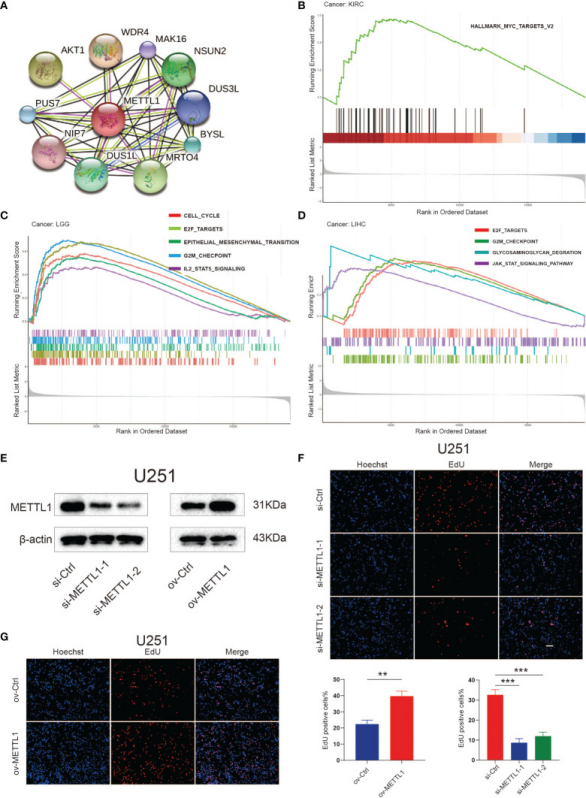 edu.cn域名该如何申请 edu域名注册需要哪些条件