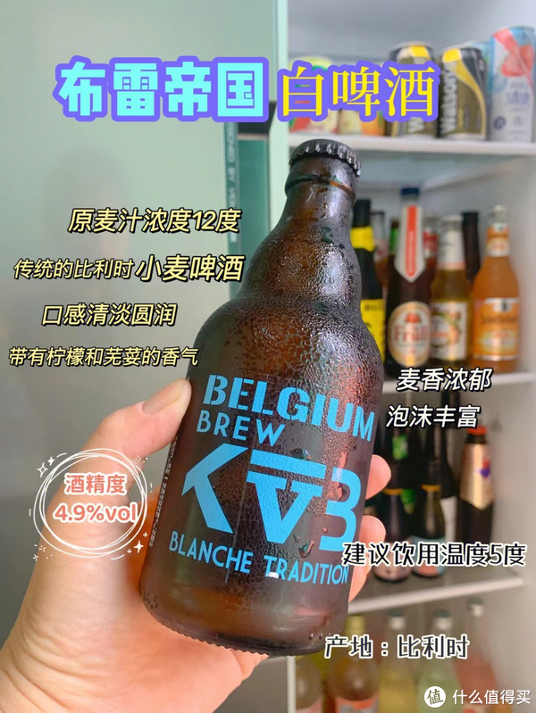 解密酒鬼女人的冰箱休闲区蓝鸢梦想 - Www.slyday.coM