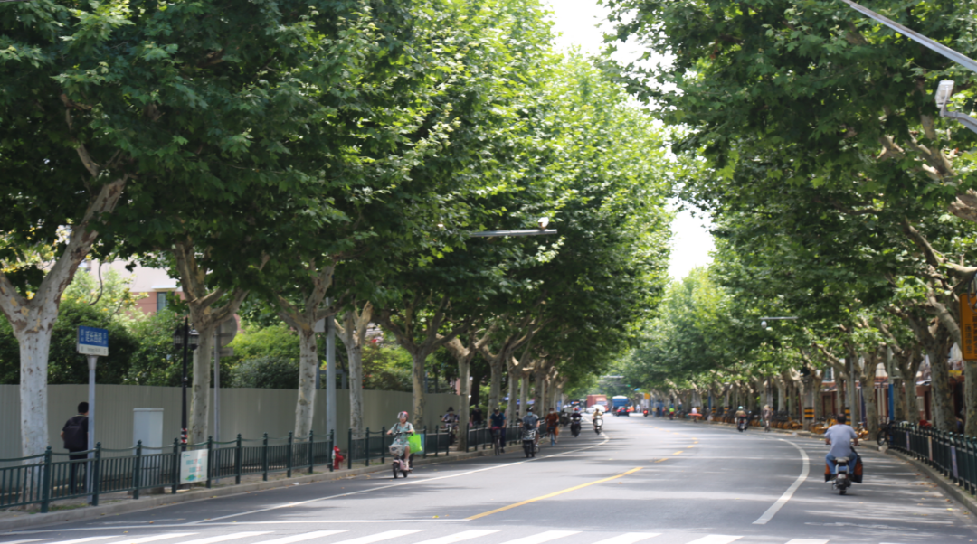 普陀区延长西路(沪太路——双山路)