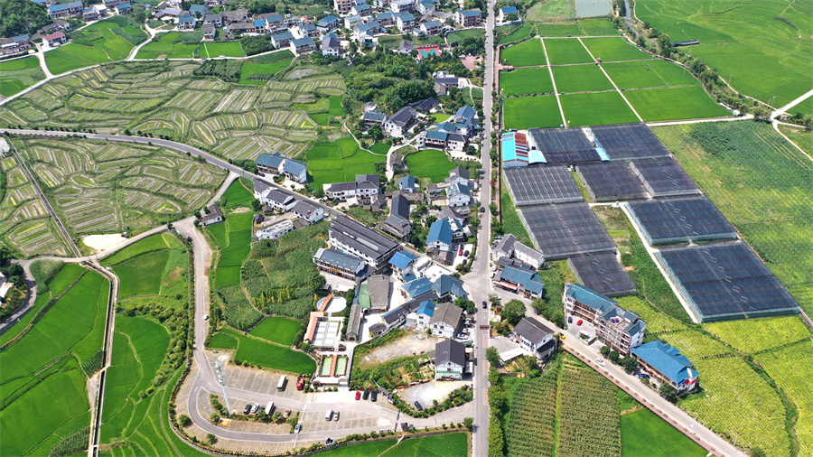 在希望的田野上航拍贵州花茂村乡村振兴绘新卷