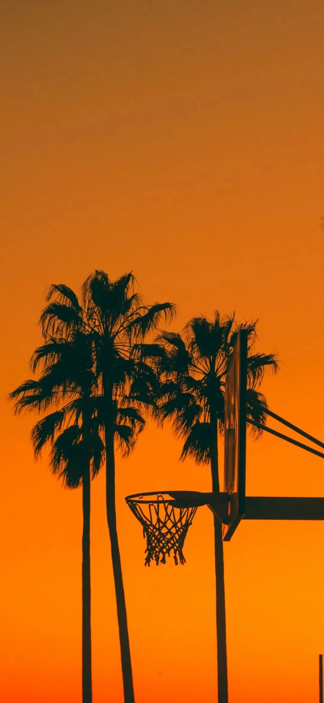 潮流壁纸精选 | 2022-07-18