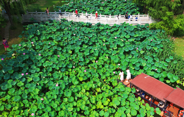 「今日早报」护士在抢救时玩手机？官方回应了休闲区蓝鸢梦想 - Www.slyday.coM