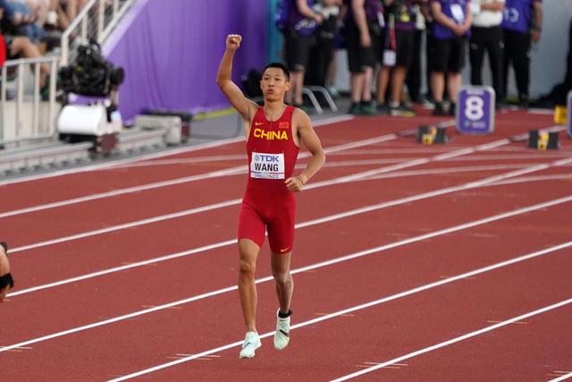 王嘉男资料图.图源ic photo