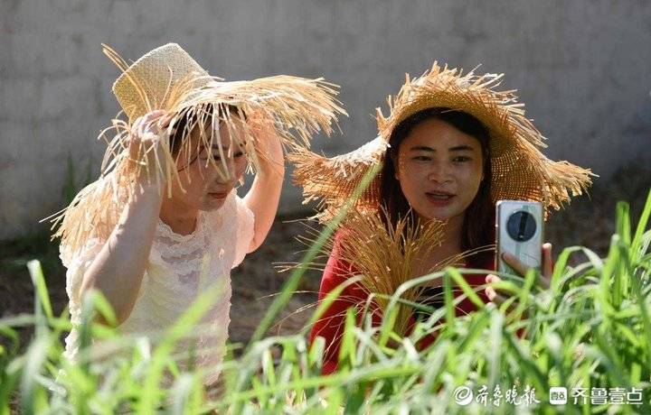 鲁南人手巧,用黄草编出精致产品出口海外|黄草|郯城县|草帽_新浪新闻
