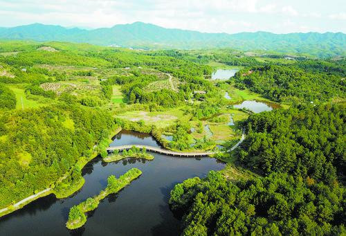 图为位于福建省龙岩市长汀县的长汀汀江国家湿地公园.