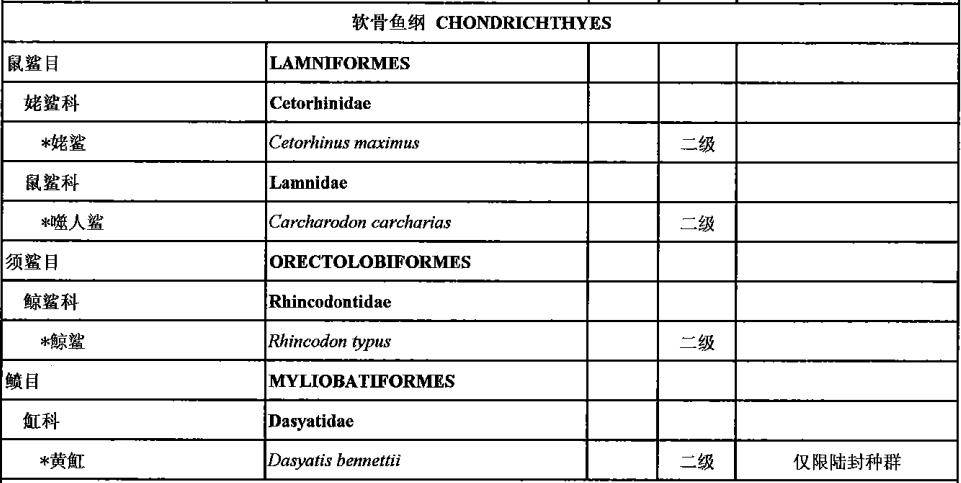 网红主播吃大白鲨？这可太“刑”了！休闲区蓝鸢梦想 - Www.slyday.coM