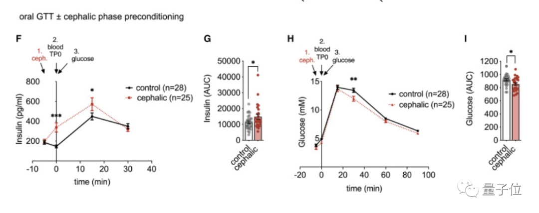 减肥人士要哭：食物不吃看看也不行，因为你的大脑会发炎休闲区蓝鸢梦想 - Www.slyday.coM