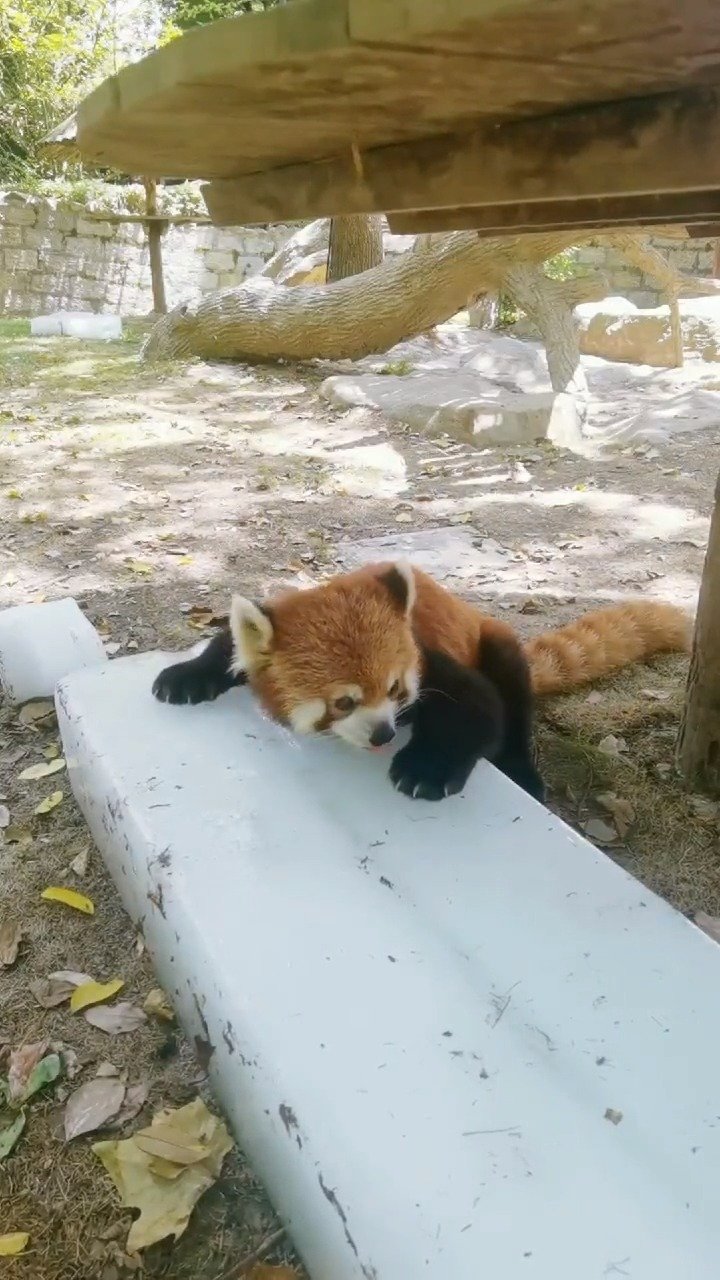 龙门镖局2为什么禁播？