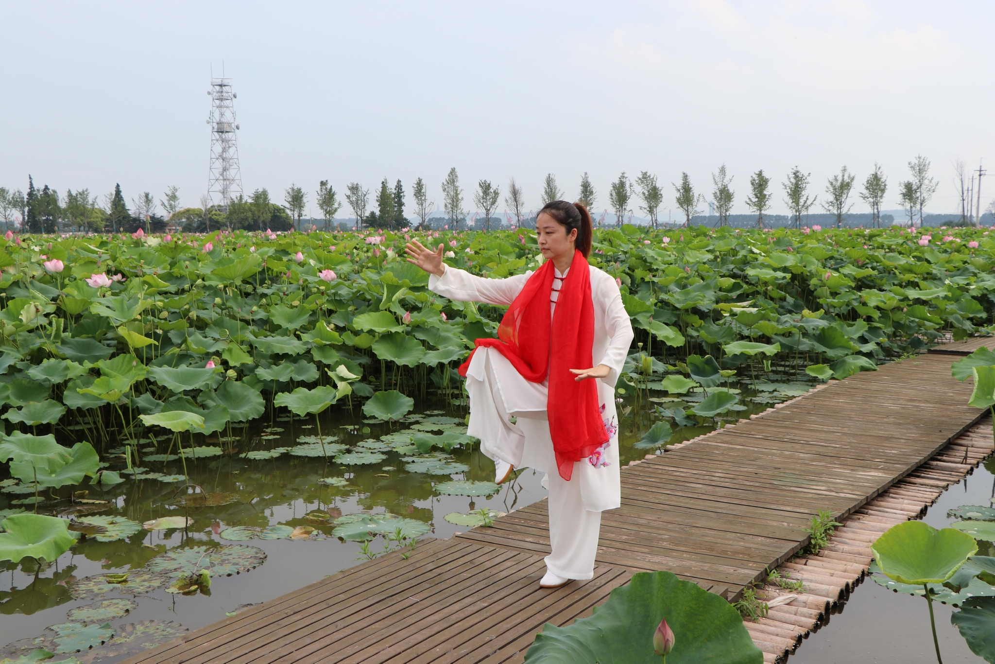 邱慧芳认为,要让更多不会练太极的人,先进这个门.&nbsp; 受访者供图
